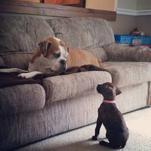 Meet your Posher, Barbara